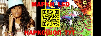 mdpv Новодвинск