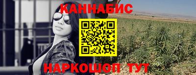 сатива Новокубанск